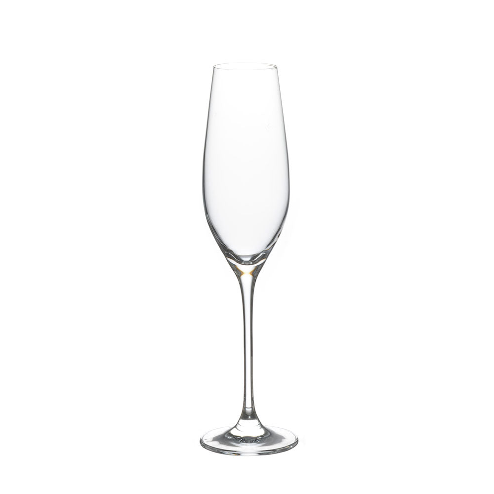 マロン 8ozシャンパーニュ 6脚セット – GLASSBACCA